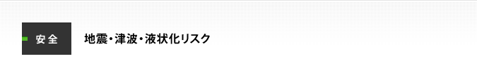 安全：地震・津波・液状化リスク