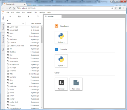 図8 Webブラウザ上で動作するPython環境「jupyterlab」