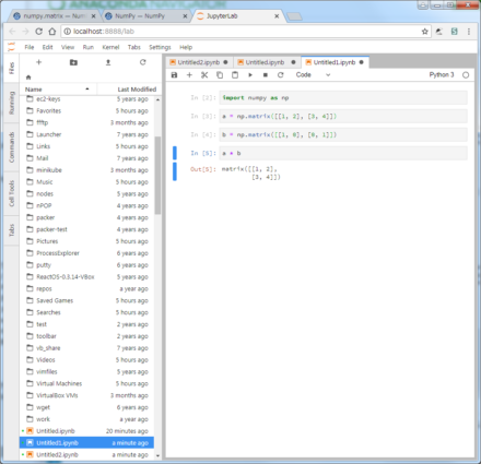 図11 jupyterlabで開いたNotebook