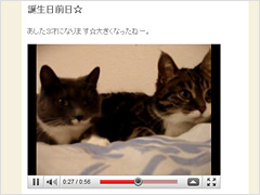 Twitterや動画など、ブログ記事内にさまざまな外部サービスを貼り付け可能