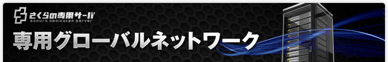 専用グローバルネットワーク