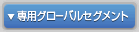 専用グローバルセグメント