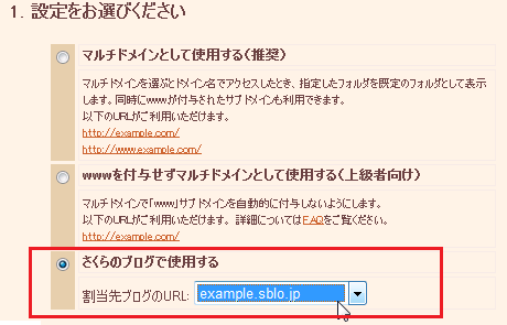ドメインの詳細設定